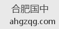 合肥国中