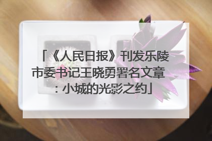 《人民日报》刊发乐陵市委书记王晓勇署名文章：小城的光影之约