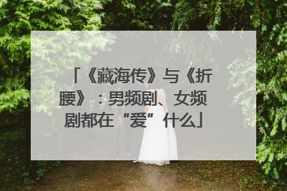 《藏海传》与《折腰》：男频剧、女频剧都在“爱”什么