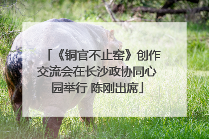 《铜官不止窑》创作交流会在长沙政协同心园举行 陈刚出席