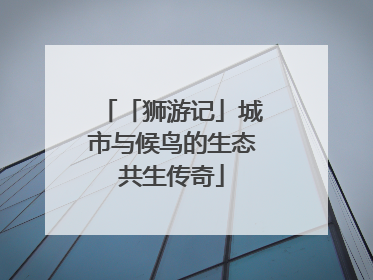 「狮游记」城市与候鸟的生态共生传奇