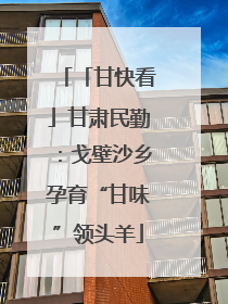 「甘快看」甘肃民勤：戈壁沙乡孕育“甘味”领头羊