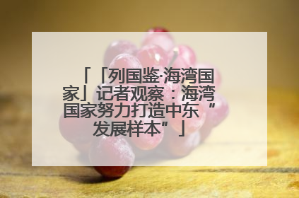 「列国鉴·海湾国家」记者观察：海湾国家努力打造中东“发展样本”