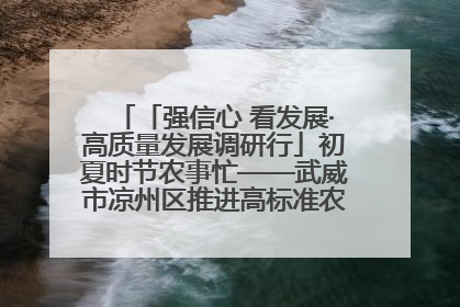 「强信心 看发展·高质量发展调研行」初夏时节农事忙——武威市凉州区推进高标准农田建设见闻