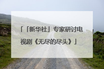 「新华社」专家研讨电视剧《无尽的尽头》