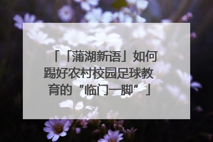 「蒲湖新语」如何踢好农村校园足球教育的“临门一脚”