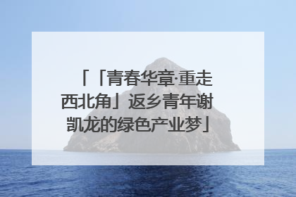 「青春华章·重走西北角」返乡青年谢凯龙的绿色产业梦