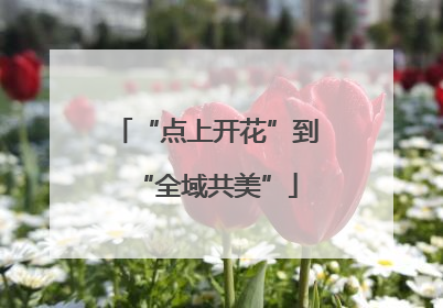 “点上开花”到“全域共美”