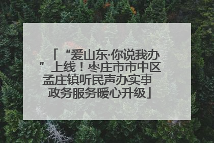 “爱山东·你说我办”上线！枣庄市市中区孟庄镇听民声办实事 政务服务暖心升级
