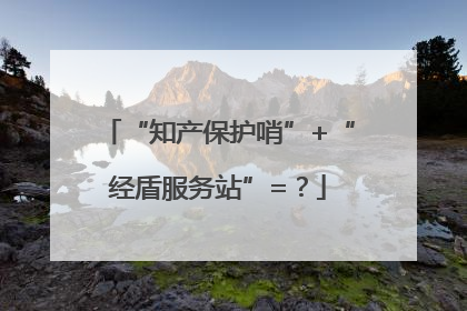 “知产保护哨”+“经盾服务站”=？