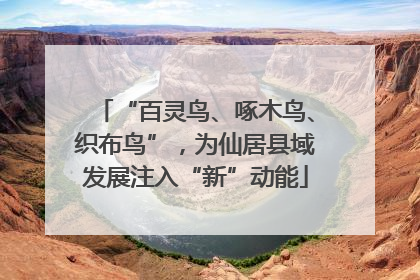 “百灵鸟、啄木鸟、织布鸟”，为仙居县域发展注入“新”动能