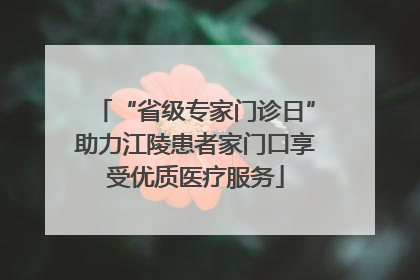 “省级专家门诊日”助力江陵患者家门口享受优质医疗服务