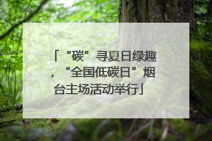 “碳”寻夏日绿趣，“全国低碳日”烟台主场活动举行
