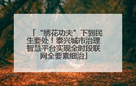 “绣花功夫”下到民生要处！泰兴城市治理智慧平台实现全时段联网全要素细治
