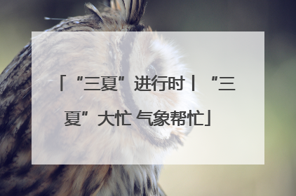 “三夏”进行时丨“三夏”大忙 气象帮忙