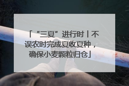“三夏”进行时丨不误农时完成夏收夏种，确保小麦颗粒归仓