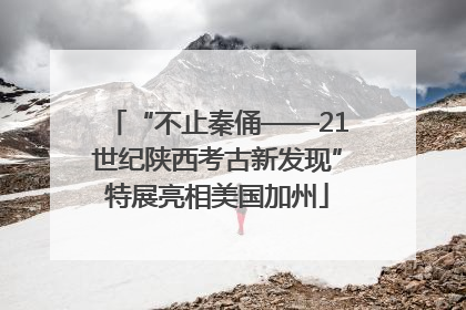 “不止秦俑——21世纪陕西考古新发现”特展亮相美国加州
