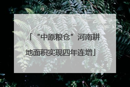 “中原粮仓”河南耕地面积实现四年连增
