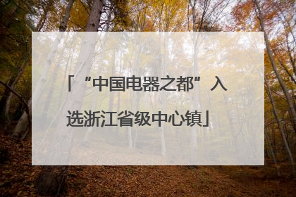 “中国电器之都”入选浙江省级中心镇