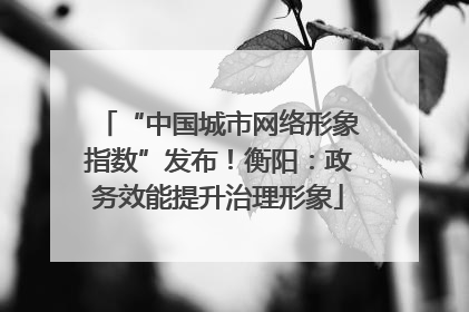 “中国城市网络形象指数”发布！衡阳：政务效能提升治理形象