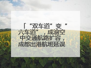 “双车道”变“六车道”，成渝空中交通航路扩容，成都出港航班延误或减少