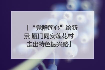 “党群莲心”绘新景 厦门同安莲花村走出特色振兴路