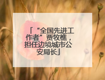 “全国先进工作者”贾牧樵，担任边境城市公安局长