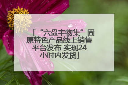 “六盘丰物集”固原特色产品线上销售平台发布 实现24小时内发货