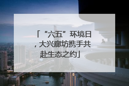 “六五”环境日，大兴廊坊携手共赴生态之约