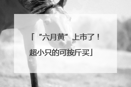“六月黄”上市了！超小只的可按斤买