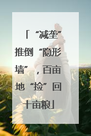 “减垄”推倒“隐形墙”，百亩地“捡”回十亩粮