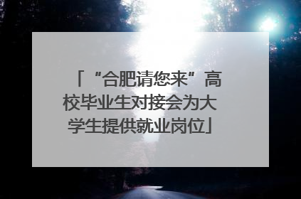 “合肥请您来”高校毕业生对接会为大学生提供就业岗位