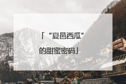 “夏邑西瓜”的甜蜜密码