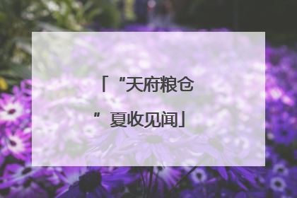 “天府粮仓”夏收见闻