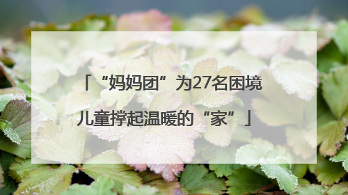 “妈妈团”为27名困境儿童撑起温暖的“家”