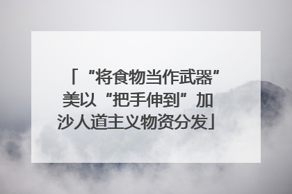 “将食物当作武器” 美以“把手伸到”加沙人道主义物资分发