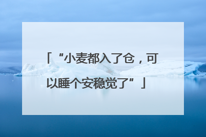 “小麦都入了仓，可以睡个安稳觉了”