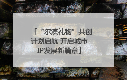 “尔滨礼物”共创计划启航 开启城市IP发展新篇章