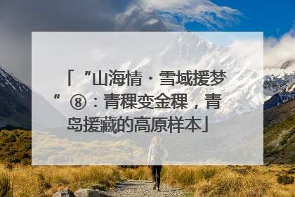 “山海情・雪域援梦”⑧：青稞变金稞，青岛援藏的高原样本