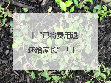“已将费用退还给家长”！
