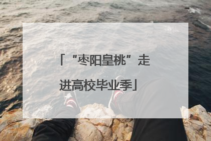 “枣阳皇桃”走进高校毕业季