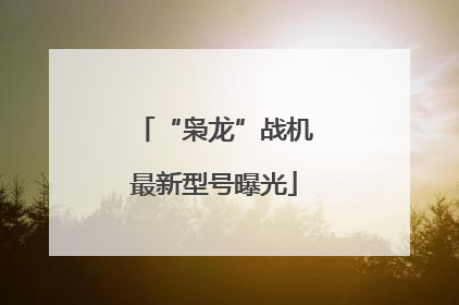“枭龙”战机最新型号曝光