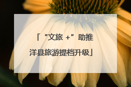 “文旅 +”助推洋县旅游提档升级