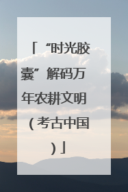 “时光胶囊”解码万年农耕文明（考古中国）