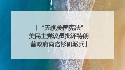 “无视美国宪法” 美民主党议员批评特朗普政府向洛杉矶派兵