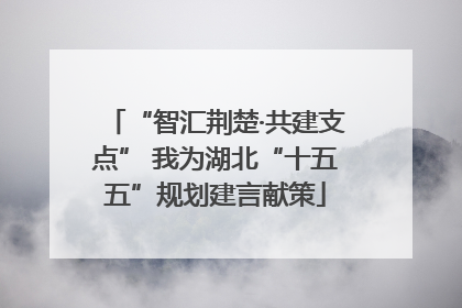 “智汇荆楚·共建支点” 我为湖北“十五五”规划建言献策