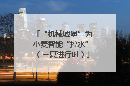 “机械城堡”为小麦智能“控水”（三夏进行时）
