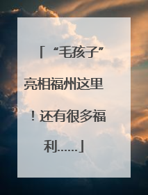 “毛孩子”亮相福州这里！还有很多福利……
