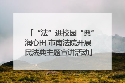 “法”进校园“典”润心田 市南法院开展民法典主题宣讲活动