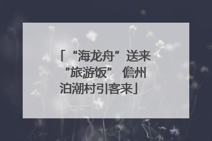 “海龙舟”送来“旅游饭” 儋州泊潮村引客来